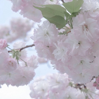 天柱FurryQQ群介绍